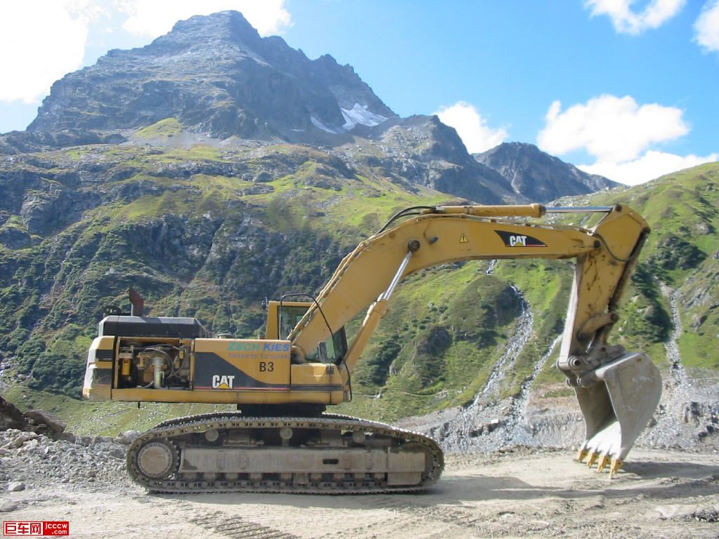 cat308 (1).jpg