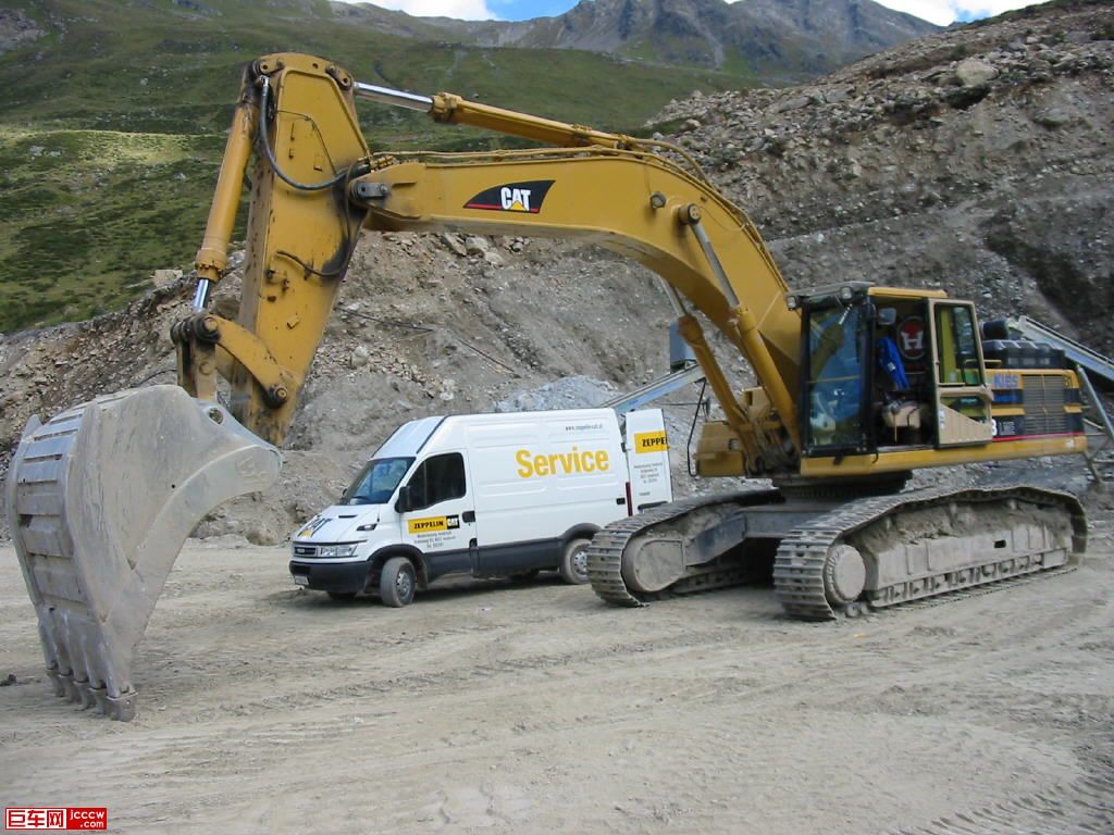 cat310.jpg