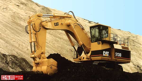 cat5130.jpg