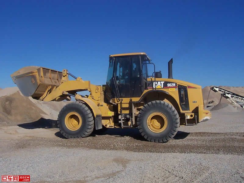 cat962h.jpg